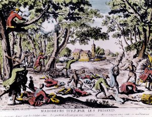 Plunderaars neergeschoten door boeren