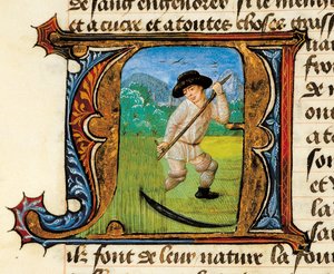 Geneeskunde: een boer die het graan maait. Miniatuur uit het Verhandeling over Geneeskunde door Aldebrande de Florence (Aldebrando)