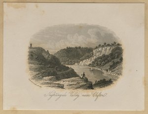 Nightingale Valley, bij Clifton door Unknown artist