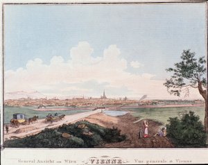 Overzicht van de stad Wenen met brug over de Donau. Oostenrijk Gravure uit 1830 Privécollectie