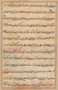 Pagina uit Verhalen van een Papegaai (Tuti-nama): tekstpagina door Unknown artist