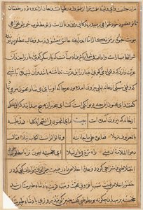 Pagina uit Verhalen van een Papegaai (Tuti-nama): tekstpagina door Unknown artist