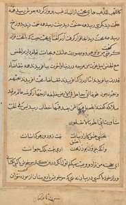 Pagina uit Verhalen van een Papegaai (Tuti-nama): tekstpagina door Unknown artist