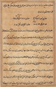 Pagina uit Verhalen van een Papegaai (Tuti-nama): tekstpagina door Unknown artist
