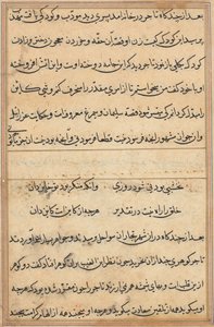 Pagina uit Verhalen van een Papegaai (Tuti-nama): tekstpagina door Unknown artist