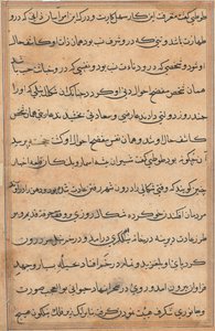 Pagina uit Verhalen van een Papegaai (Tuti-nama): tekstpagina door Unknown artist