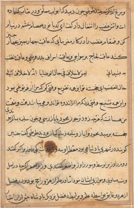 Pagina uit Verhalen van een Papegaai (Tuti-nama): tekstpagina door Unknown artist