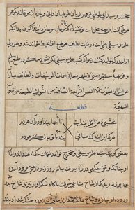 Pagina uit Verhalen van een papegaai (Tuti-nama): tekstpagina door Unknown artist