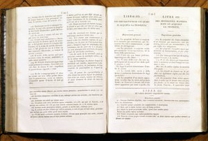 Pagina