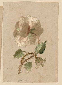 Patroon door Unknown artist