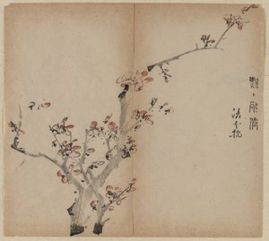 Perzikbloesems