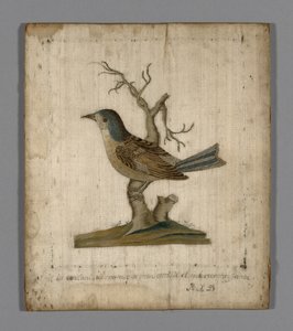 Afbeelding van een vogel door Unknown artist