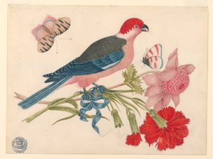 Roze, rode, blauwe en zwarte vogel op tak met bloesems en vlinders door Unknown artist