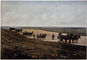 Ploegen op de Manitoba-vlaktes (Canada), eind 19e eeuw