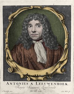 Portret van Antonie Van Leeuwenhoek of Anton van Leeuwenhoek, of Leeuvenhoek, of Leeuwenhoeck. Nederlandse natuuronderzoeker (1632-1723). gravure uit 1722