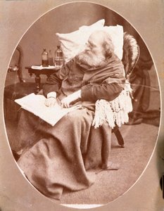 Portret van de Italiaanse patriot en held van het Risorgimento Giuseppe Garibaldi (1807-1882) in Caprera in 1882. Fotografie. Privécollectie door Unknown artist