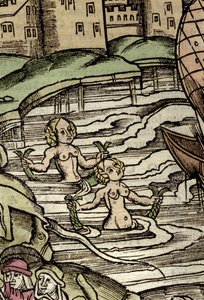 Voorstelling van sirenes. 16e-eeuwse gravure door Unknown artist