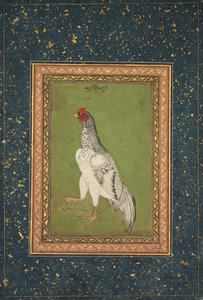 Haan