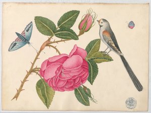 Kleine Zwart-witte Vogel op Rozenblad met Bloesems en Vlinders
