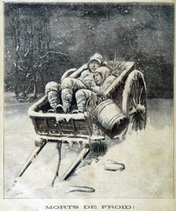 Kleine schoorsteen in de buurt van Fougères dood door vorst - in "Le Petity Journal" door Unknown artist