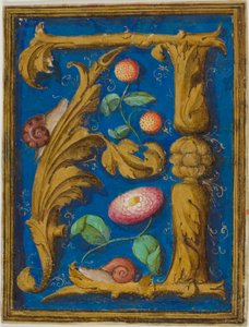 Slakken, aardbeien en een bloem in een versierde initiaal "A" uit een manuscript door Unknown artist