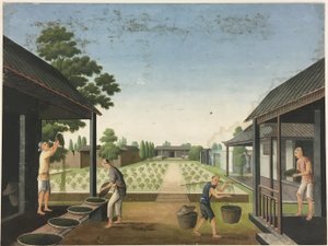 Doek spinnen, theebladeren voorbereiden, zijde voorbereiden