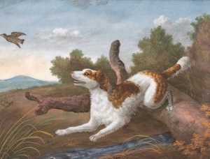 Springer: Een Spaniel die Over een Boomstam Springt om een Snip aan de Linkerkant te Vangen