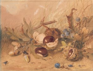 Stilleven met eikels en paardenkastanjes door Unknown artist