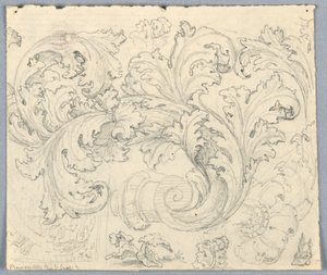 Studie voor krullend acanthus ornament