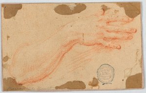 Studie voor de rechteronderarm en hand van een vrouw