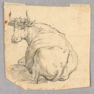 Studie van een Koe