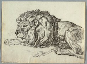 Studie van een leeuw door Unknown artist