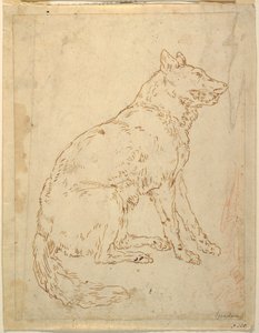 Studie van een herdershond