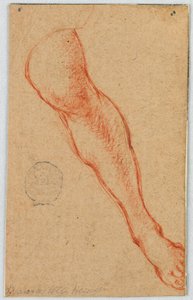 Studie van het linkerbeen van een zittende vrouw door Unknown artist