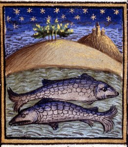 De Vissen. Miniatuur van een horoscoop. 15e-eeuws manuscript. Bibl. Trivulziana, Milaan.