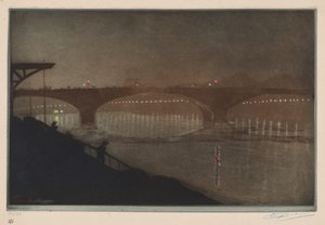 De Solferino-brug: nachtelijk effect