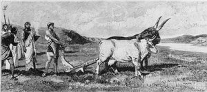 De stichting van Rome. Gravure uit de 19e eeuw. door Unknown artist
