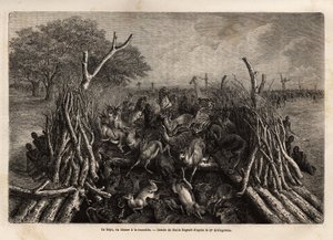 De hopo of jachttechniek in de greppel, die bestaat uit een val van 2 heggen die elkaar naderen in een V, leidend naar een put waar het wild in valt, in zeer grote hoeveelheden, na te zijn geleid door de kreten van de jagers. Gravure ter illustratie door Unknown artist