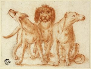 Drie Honden door Unknown artist