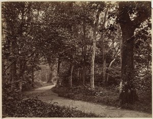 Zonder Titel (Landschap) door Unknown artist