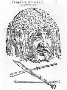 Walter Hermann Ryff: anatomische beschrijving van alle delen van het menselijk lichaam: de hersenen. Parijs 1545