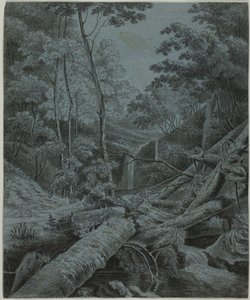 Waterval en omgevallen boomstammen in bos door Unknown artist