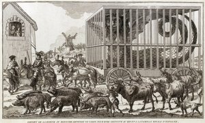 Zoomorfisme - Karikatuur tegen Marie-Antoinette - Vertrokken van de harpij of amfibisch monster van Cadiz om naar de koning en de koninklijke familie van Spanje te worden gebracht: Dit dier werd gevangen aan de oevers van het meer van Fagua - 1784 door Unknown artist