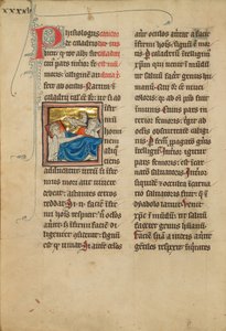 Caladrius Vogels