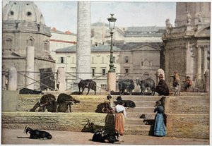 Oud Rome: uitzicht op het Forum Romanum. Italië, eind 19e eeuw door Unknown photographer
