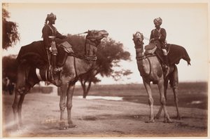 Kameel Sowars bij het Delhi oefenkamp door Unknown photographer