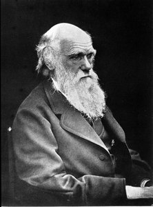 Fotografisch portret van Charles Darwin (1809 - 1882), Engelse natuuronderzoeker. 1881 door Unknown photographer