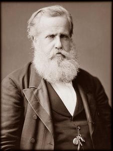 Portret van Dom Pedro II (Peter II) (Dom Pedro de Alcantara) (1825-1891), Keizer van Brazilië door Unknown photographer