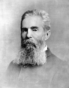 Portret van Herman Melville, Amerikaanse romanschrijver