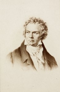 Portret van Ludwig van Beethoven